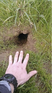 Vole Hole Vole Hole
